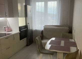 1-комнатная квартира в аренду, 42 м2, Забайкальский край, Кастринская улица, 9