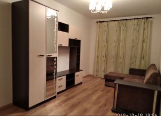 Сдается 1-ком. квартира, 33 м2, Санкт-Петербург, ЖК Приневский, Русановская улица, 16к3