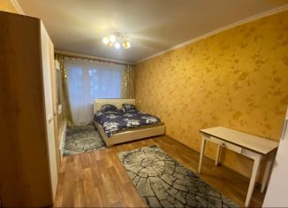 Сдается 1-ком. квартира, 30.7 м2, Петропавловск-Камчатский, Мишенная улица, 116, микрорайон Сероглазка