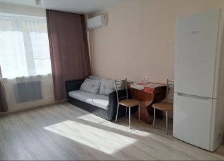 Продам квартиру студию, 25 м2, Москва, 6-я Радиальная улица, ЖК Царицыно