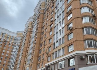 Квартира на продажу студия, 24.3 м2, Москва, 6-я Радиальная улица, 5к2, ЖК Царицыно