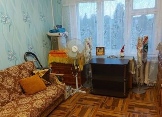 Продам 1-комнатную квартиру, 30.3 м2, село Янишполе, Центральная улица, 56