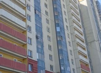 Сдача в аренду 1-комнатной квартиры, 37 м2, Санкт-Петербург, Долгоозёрная улица, 31, Долгоозёрная улица