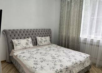 Сдача в аренду 2-комнатной квартиры, 46 м2, Дагестан, улица Батырая, 141