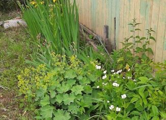 Продажа дома, 16 м2, Добрянка, садовые участки Дружба, 535