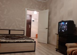 Однокомнатная квартира в аренду, 42 м2, посёлок ВНИИССОК, Бородинская улица, 3