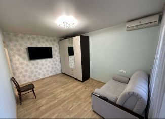 1-комнатная квартира в аренду, 35 м2, Сочи, улица Дмитриевой, 56, микрорайон Светлана