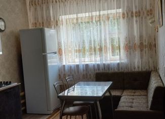 Сдается дом, 75 м2, Владимирская область, Центральная улица, 75