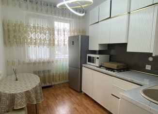 Однокомнатная квартира в аренду, 45 м2, Дагестан, проезд Гаджимагомедова, 5к3