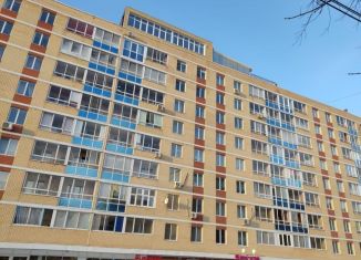 1-комнатная квартира в аренду, 41 м2, Пермский край, улица Желябова, 16