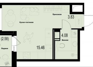 Квартира на продажу студия, 24.7 м2, Ленинградская область