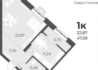 Продаю однокомнатную квартиру, 47.1 м2, Новосибирская область, площадь Ленина