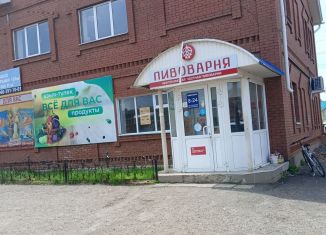 Сдаю помещение свободного назначения, 320 м2, село Николо-Берёзовка, Дорожная улица, 39А