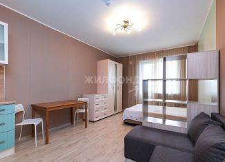 Продажа 1-комнатной квартиры, 30 м2, Новосибирская область, Оловозаводская улица, 15