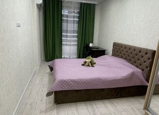 Однокомнатная квартира в аренду, 36 м2, Краснодар, улица Евгении Жигуленко, 13