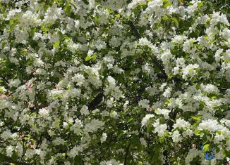 Продается дом, 46.7 м2, деревня Старые Кены