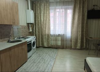 Сдаю квартиру студию, 29 м2, Адыгея, улица Гагарина, 155