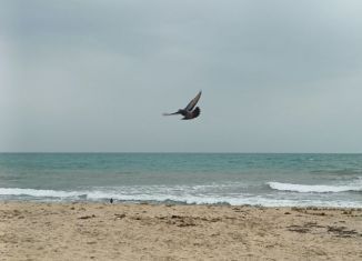 Продам участок, 811 сот., село Знаменское