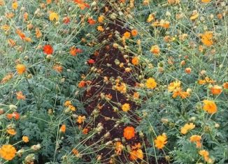 Продаю земельный участок, 12.5 сот., Кумертау, улица Петра Великого, 45