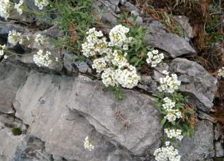 Продам земельный участок, 6 сот., Усть-Катав