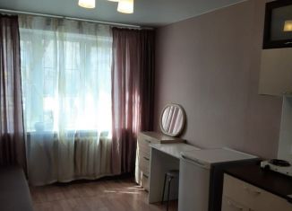 Квартира в аренду студия, 20 м2, Екатеринбург, улица Мичурина, 59