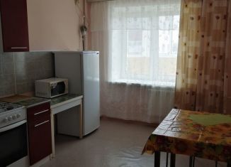Сдам однокомнатную квартиру, 42.6 м2, Ярославская область, улица Панина, 17к2