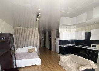 Квартира в аренду студия, 47 м2, Екатеринбург, улица Чкалова, 260, Академический район
