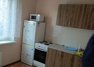 Сдаю в аренду однокомнатную квартиру, 39 м2, Новосибирская область, улица Тюленина, 15