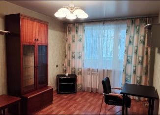 Сдается двухкомнатная квартира, 47 м2, Новосибирск, Новосибирская улица, 20, Ленинский район