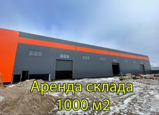 Сдаю в аренду склад, 1000 м2, деревня Новосаратовка, Промышленный район Центральное отделение, 40к1