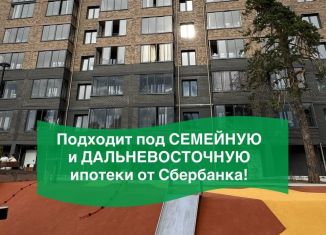 Продажа 1-комнатной квартиры, 37.6 м2, Забайкальский край, улица Виля Липатова, 13