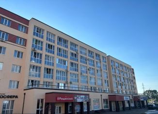 Продам квартиру студию, 24 м2, село Зубово, улица Бориса Перина, 6