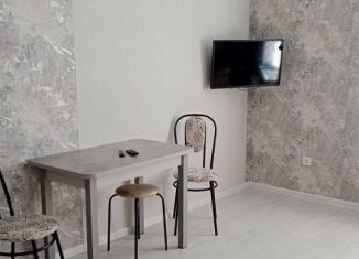 Сдаю квартиру студию, 26 м2, Республика Башкортостан, Горнолыжная улица, 26