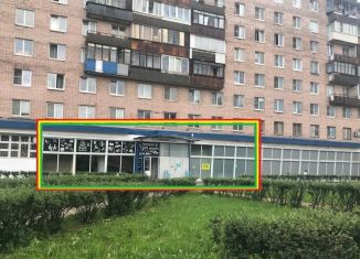 Сдача в аренду торговой площади, 280 м2, Санкт-Петербург, Новоизмайловский проспект, 4, Московский район