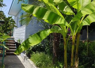 Сдаю дом, 12 м2, посёлок пансионата Небуг, Черноморская улица, 10