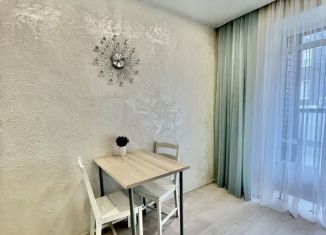 Аренда 1-комнатной квартиры, 34 м2, Татарстан, улица Петра Гаврилова, 11