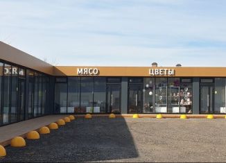 Продается торговая площадь, 28 м2, село Сокуры, улица Достоевского, 1