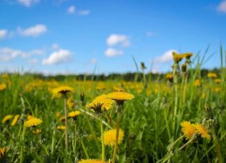 Земельный участок на продажу, 8.2 сот., СНТ Санаръ