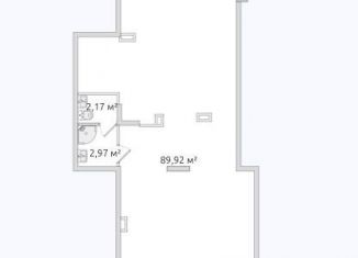 Продаю помещение свободного назначения, 105.6 м2, Санкт-Петербург, Вазаский переулок, 3, муниципальный округ Ланское