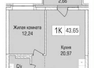 Продается 1-ком. квартира, 43.7 м2, Новосибирск