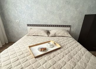 Двухкомнатная квартира в аренду, 50 м2, Казань, улица Рихарда Зорге, 92