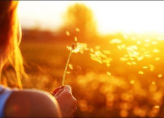 Продам участок, 1495 сот., село Кебезень