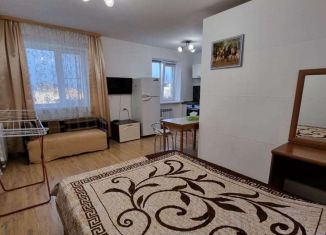 1-комнатная квартира в аренду, 30 м2, Приморский край, Хабаровская улица, 29А