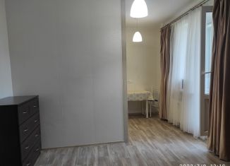 Квартира в аренду студия, 30 м2, Санкт-Петербург, бульвар Александра Грина, 2к1, ЖК Капитан Немо