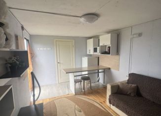 Продажа дачи, 20 м2, садоводческое некоммерческое товарищество Новые Тангачи, 1-я аллея