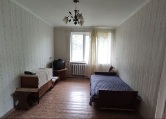 Сдается 2-комнатная квартира, 42.5 м2, село Андреевка, Центральная улица, 41