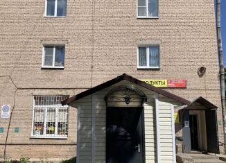 Помещение свободного назначения на продажу, 50 м2, деревня Белогорка, Институтская улица, 4