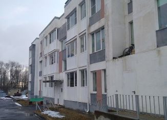 Квартира на продажу студия, 22 м2, Ленинградская область, деревня Оржицы, 4