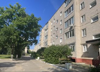 Продажа однокомнатной квартиры, 32.5 м2, Жуков, улица Маршала Жукова, 1