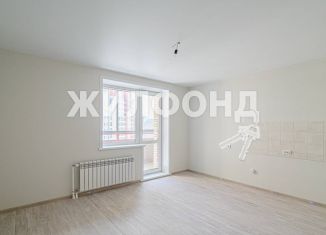 Квартира на продажу студия, 27.5 м2, Новосибирск, ЖК Инфинити, Красный проспект, 331